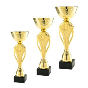 Zestaw eleganckich pucharów sportowych w promocyjnej cenie od Nagrodzony.pl, idealnych na turnieje i wydarzenia.